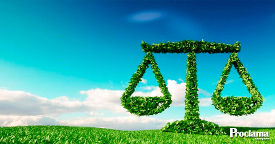 n-llamado-al-equilibrio-entre-economia-y-ecologia1.jpg