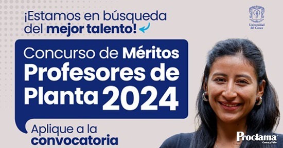 Concurso-de-Meritos-Profesores-de-Planta-2024-1.jpg