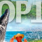 Lo que nos dejó la COP16