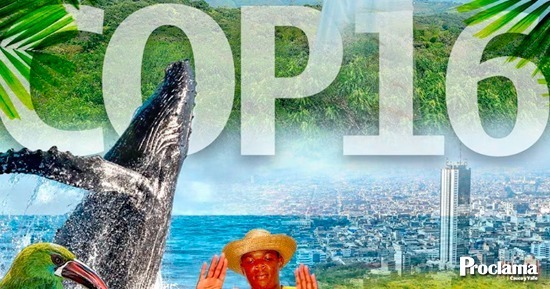 Lo-que-nos-dejo-la-COP16.jpg