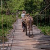 CRISIS HUMANITARIA, CIVILIZATORIA Y DE ORDEN PÚBLICO EN EL CATATUMBO