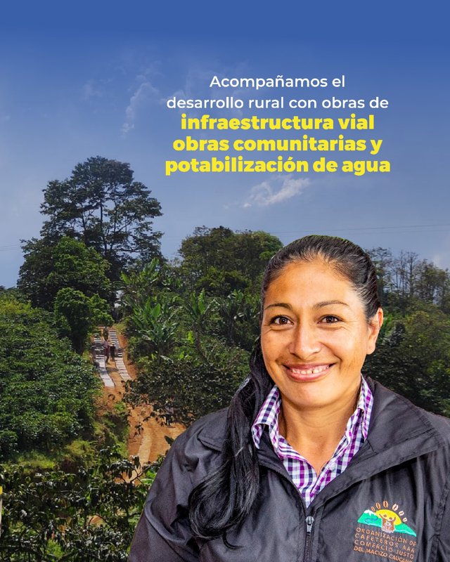 Cauca fortalece su liderazgo cafetero con producción récord11 Cauca fortalece su liderazgo cafetero con producción récord11