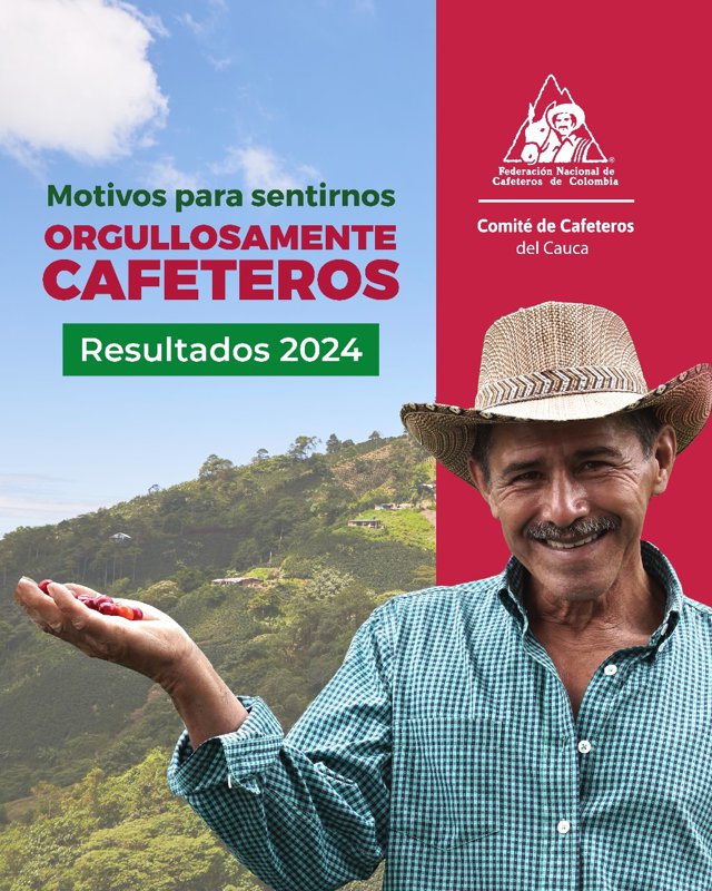 Cauca fortalece su liderazgo cafetero con producción récord4 Cauca fortalece su liderazgo cafetero con producción récord4