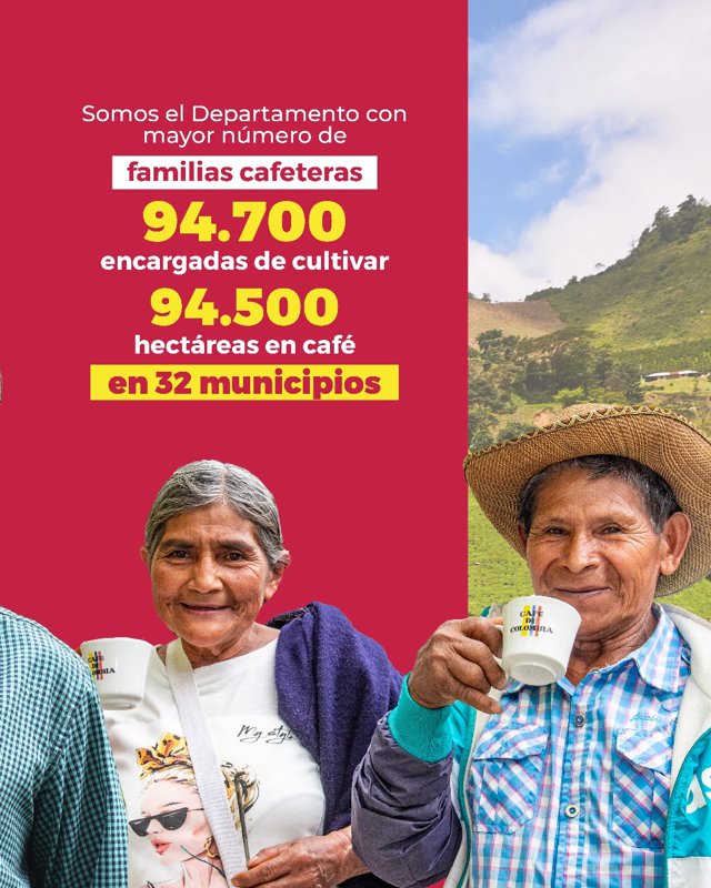 Cauca fortalece su liderazgo cafetero con producción récord5 Cauca fortalece su liderazgo cafetero con producción récord5