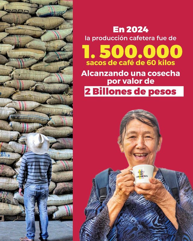 Cauca fortalece su liderazgo cafetero con producción récord7 Cauca fortalece su liderazgo cafetero con producción récord7