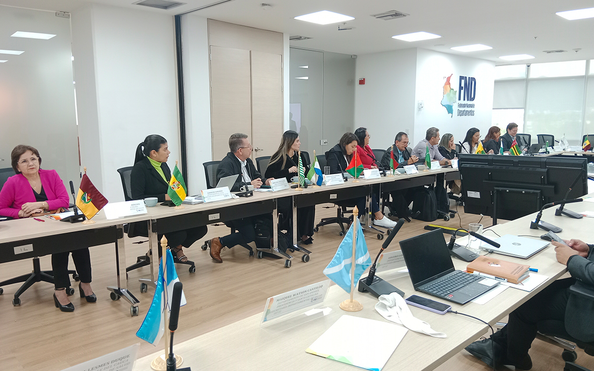 Salud-Departamental-busca-garantizar-la-entrega-de-medicamentos.jpg