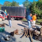Bloqueos en el oriente caucano por abandono vial