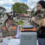 Proteja a su mascota: Vacúnela contra la rabia