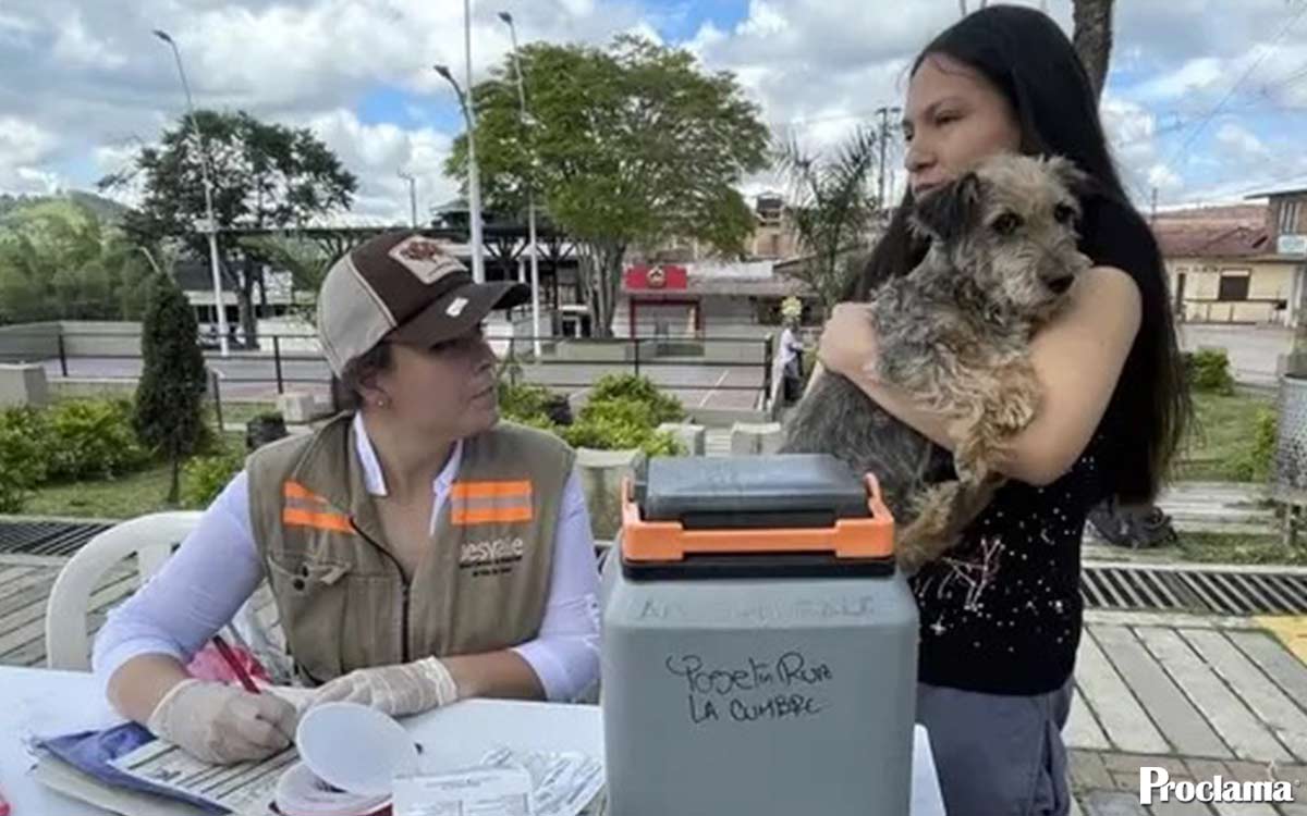 nota-vacunacion.jpg