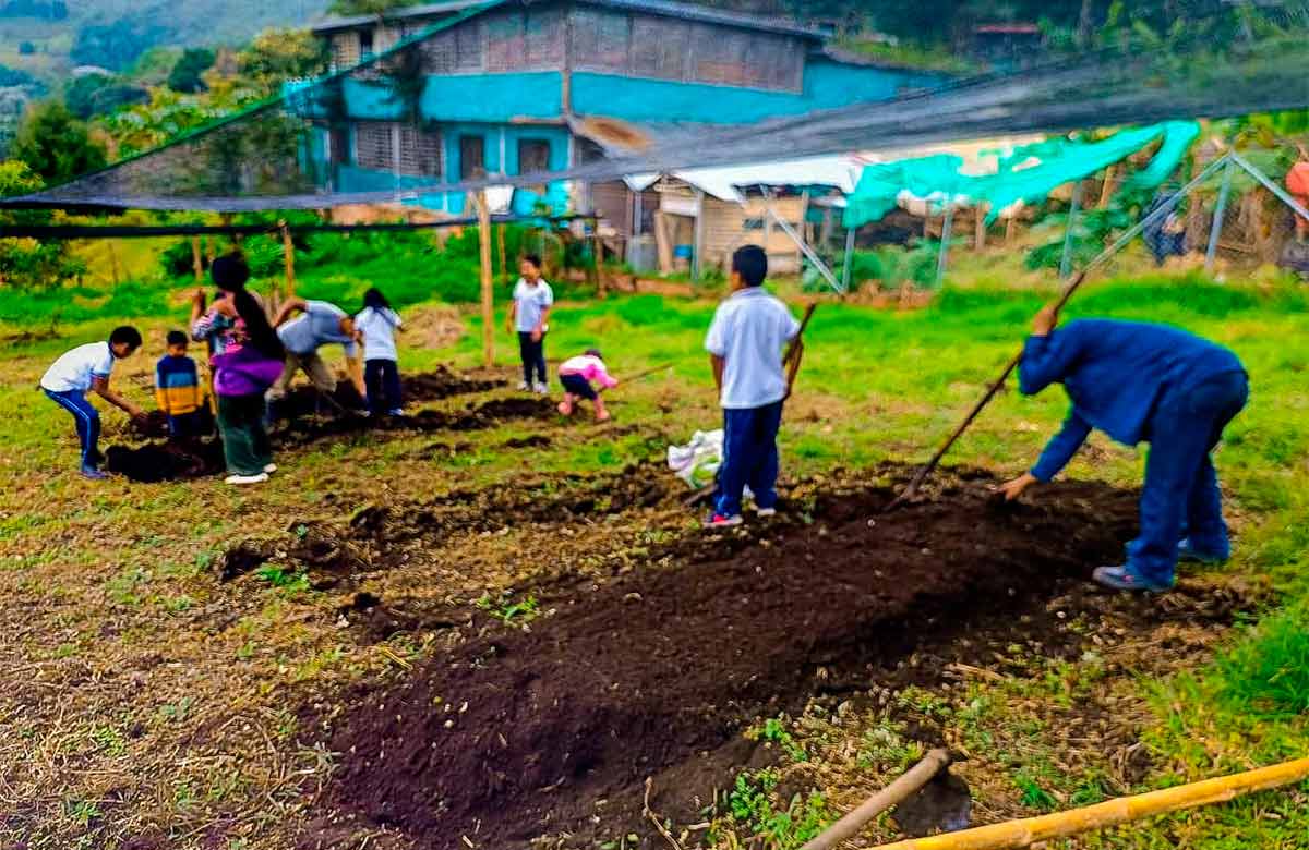 Caloto-cultiva-futuro-con-educacion-y-campo.jpg