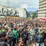 ¿QUÉ HACER CON LA "INDIAMENTA"?
