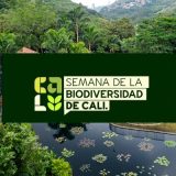 Semana de la Biodiversidad en Cali presentará resultados post-COP16 ante comunidad global