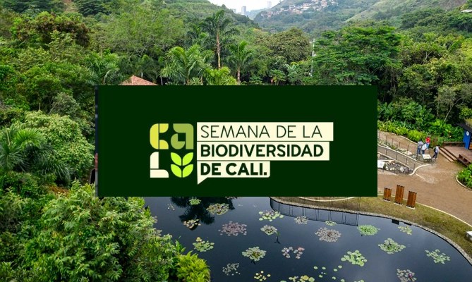 Semana de la Biodiversidad en Cali presentará resultados post-COP16 ante comunidad global