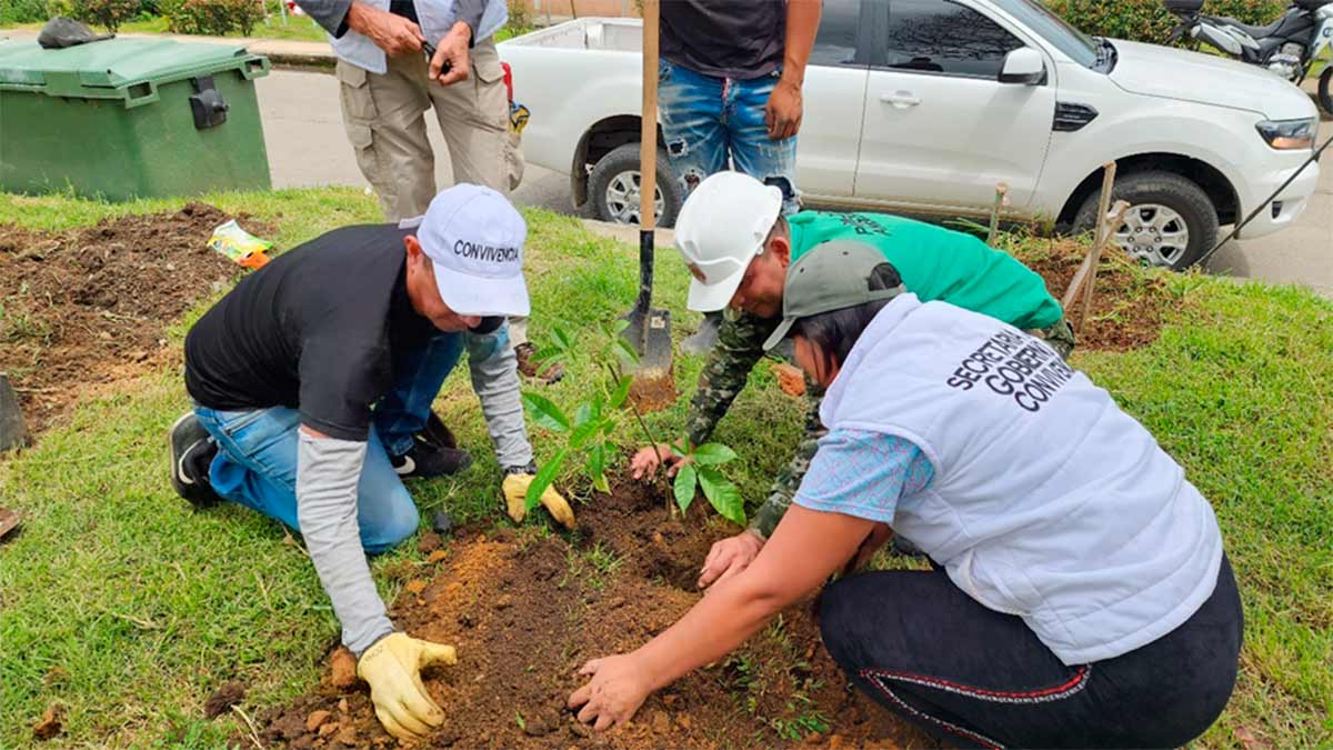 Alcaldia-continua-recuperando-los-entornos-verdes-en-Popayan.jpg