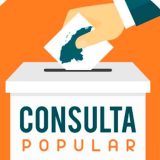 La Consulta popular y el paso siguiente