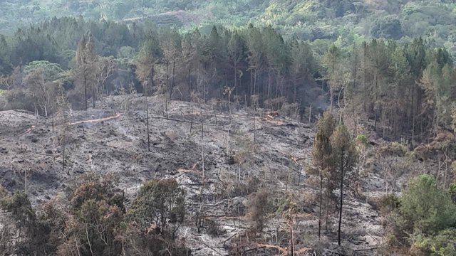 Desalojan asentamiento en predio de la hacienda Japio3 Desalojan asentamiento en predio de la hacienda Japio3