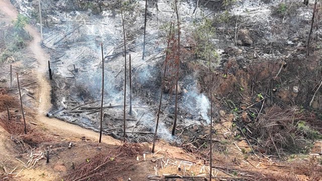 Desalojan asentamiento en predio de la hacienda Japio4 Desalojan asentamiento en predio de la hacienda Japio4
