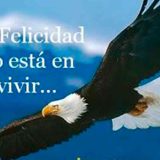 La confianza no está en las ramas, sino en las propias alas