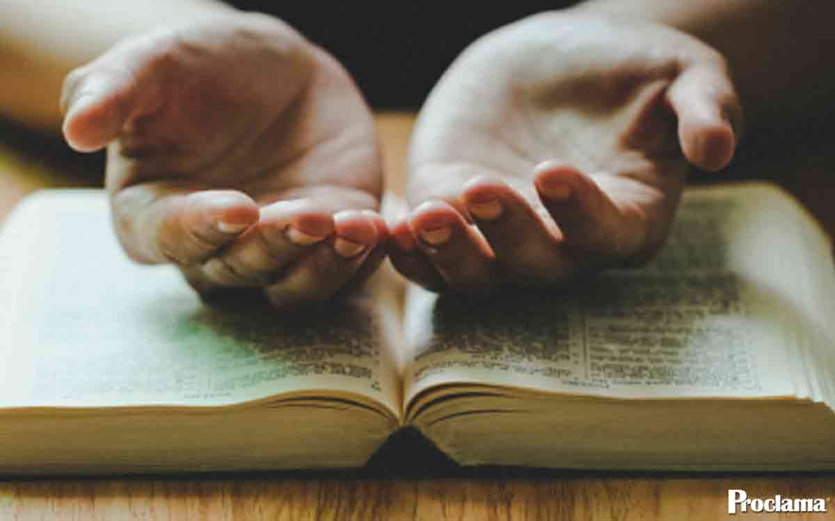 biblia