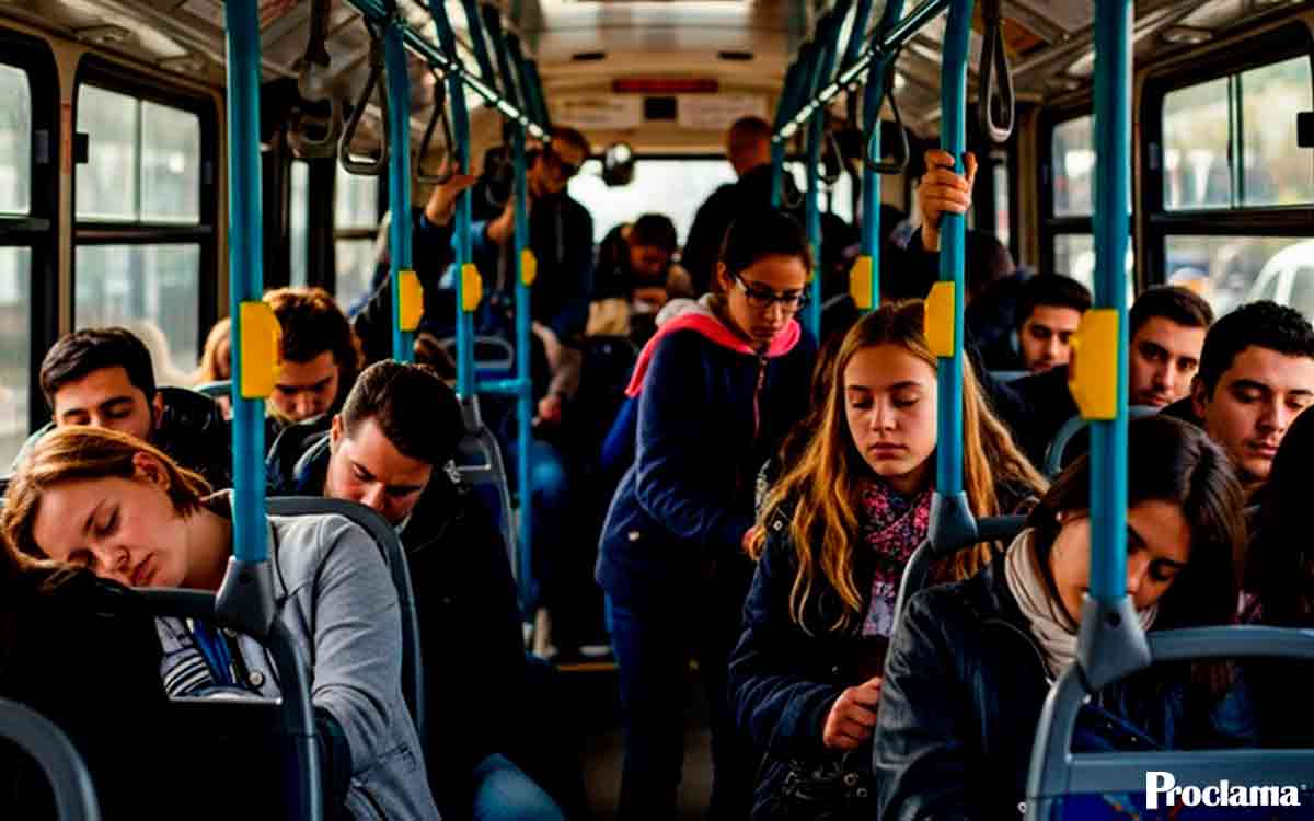 bus