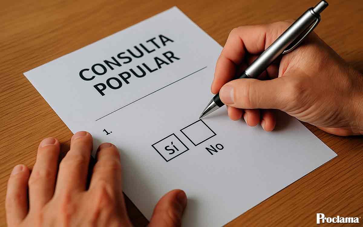 consulta-popular.jpg