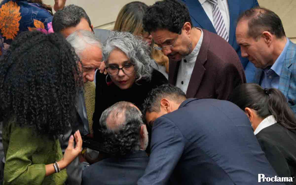 consulta-senadores
