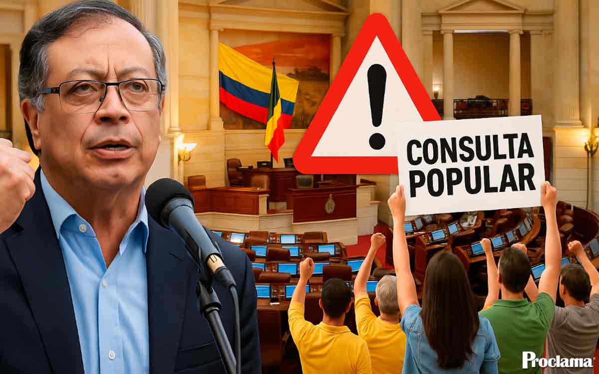 consulta