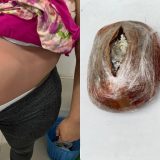 Narcobarriga