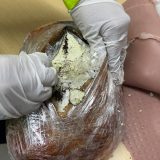Narcobarriga