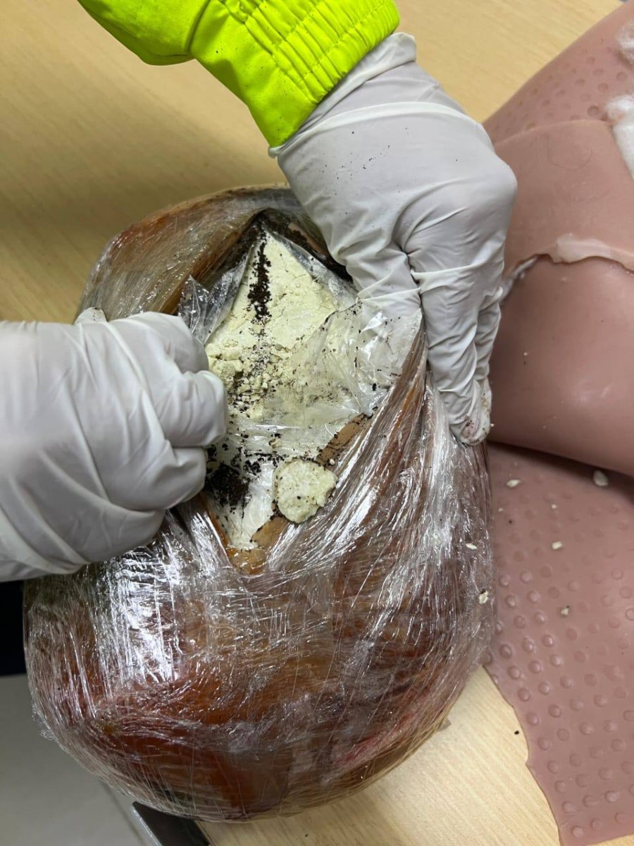 Narcobarriga Narcobarriga