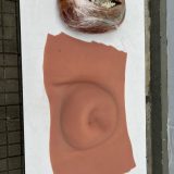 Narcobarriga