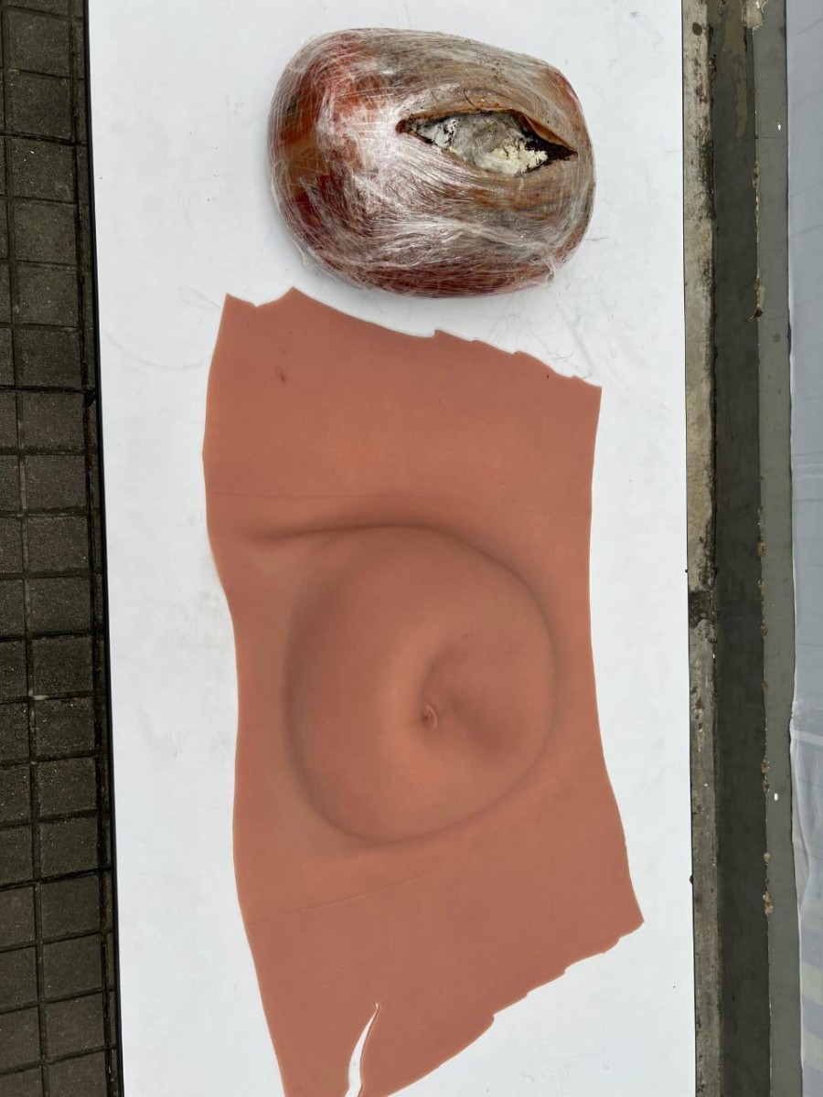 Narcobarriga Narcobarriga