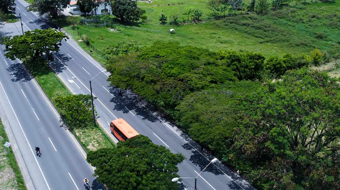 Valle-del-Cauca.jpg