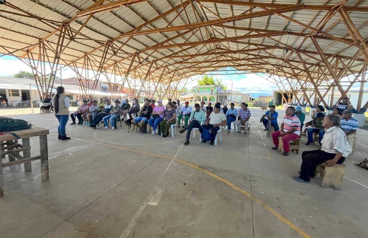 Cajibío avanza en restitución de tierras y programas sociales Cajibío avanza en restitución de tierras y programas sociales