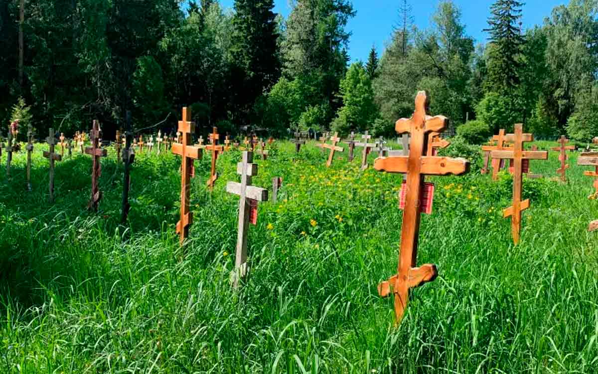 La-maquina-de-la-muerte-no-se-detiene-en-Colombia.jpg