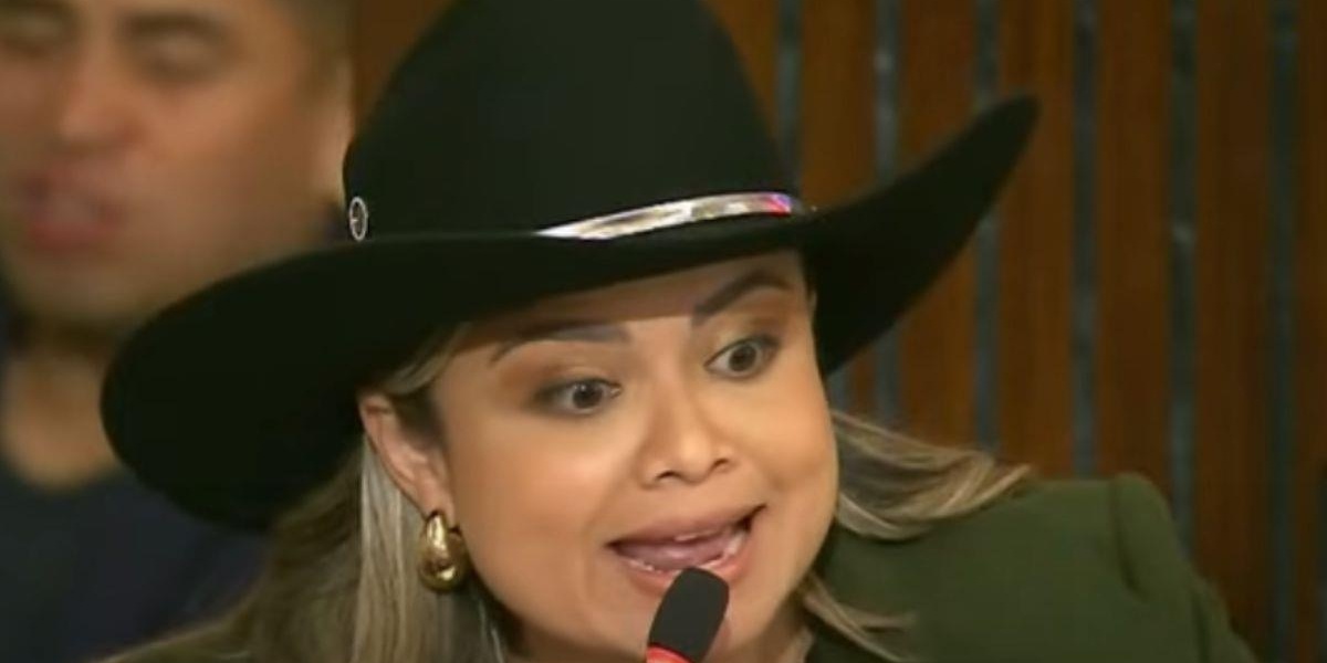 Los-sombreros-de-la-Patria-Idiota-1.jpg