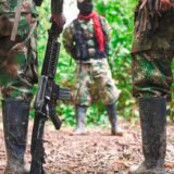 Paro armado del ELN tras operación militar en Chocó
