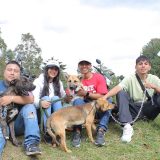 Popayán esteriliza a 130 mascotas gratuitas