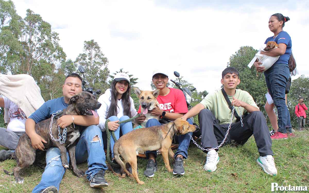 Popayán-esteriliza-a-130-mascotas-gratuitas Popayán-esteriliza-a-130-mascotas-gratuitas