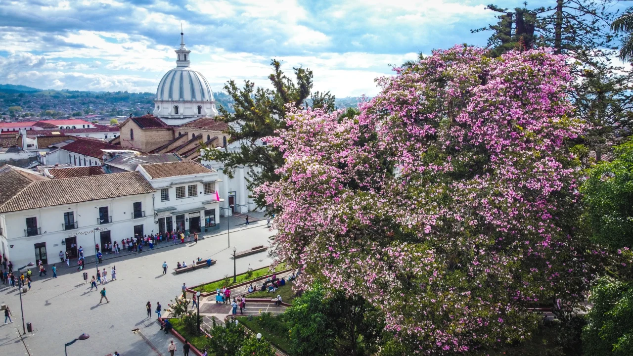 Popayan-pico-y-placa-segundo-semestre-2025-1280x720.webp