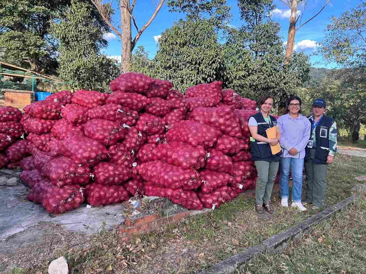 Cajibio-entrega-cebolleta-a-familias-rurales.jpg