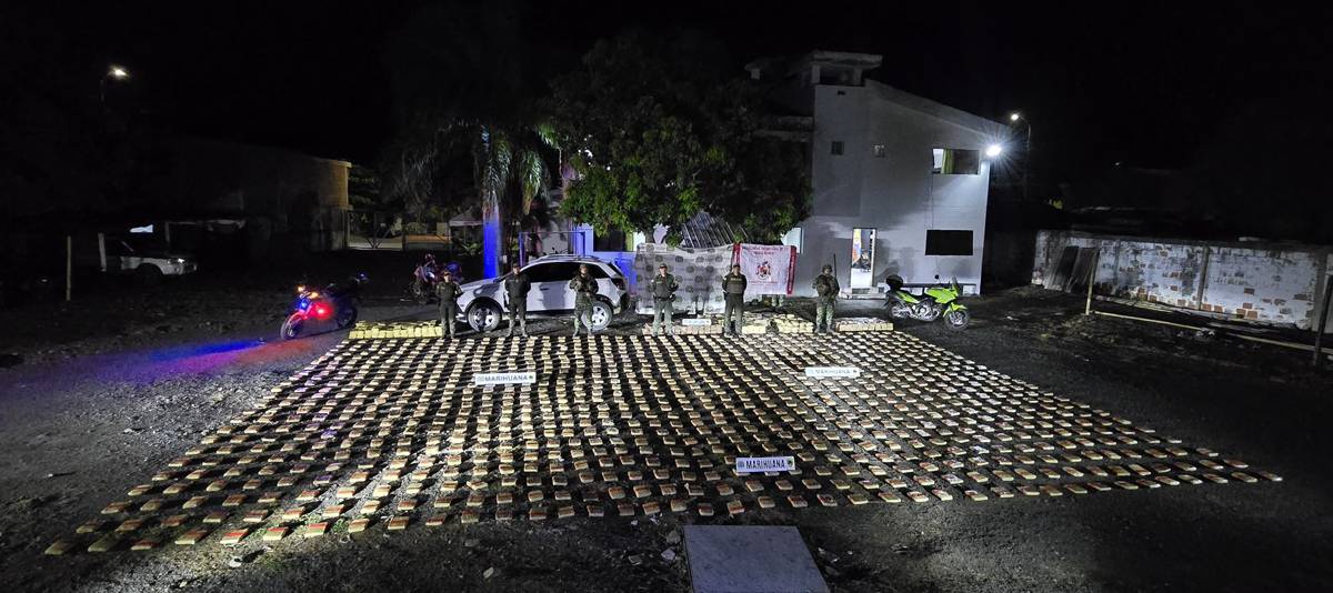 Ejercito-y-Policia-incautan-una-tonelada-de-marihuana-en-Cartago.jpg