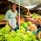Gobernación del Chocó publica requisitos para compras públicas locales