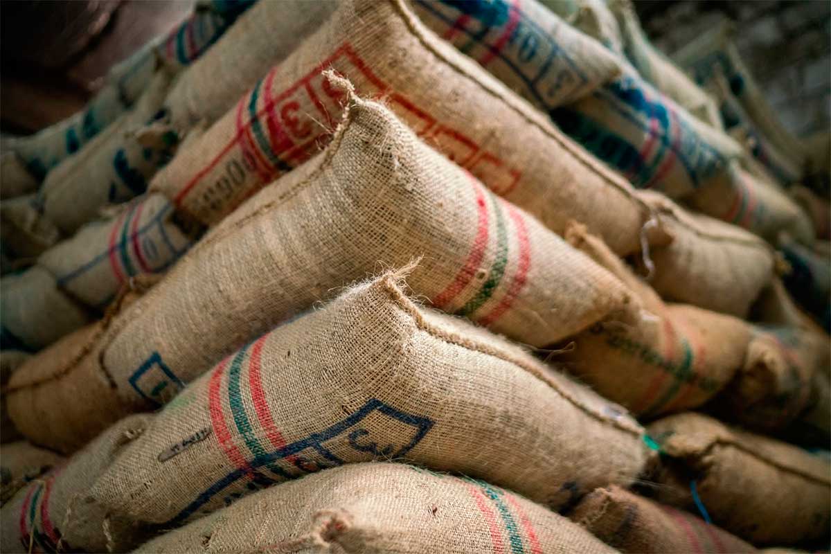 Producción-de-café-en-Colombia-marca-récord-histórico-en-julio Producción-de-café-en-Colombia-marca-récord-histórico-en-julio