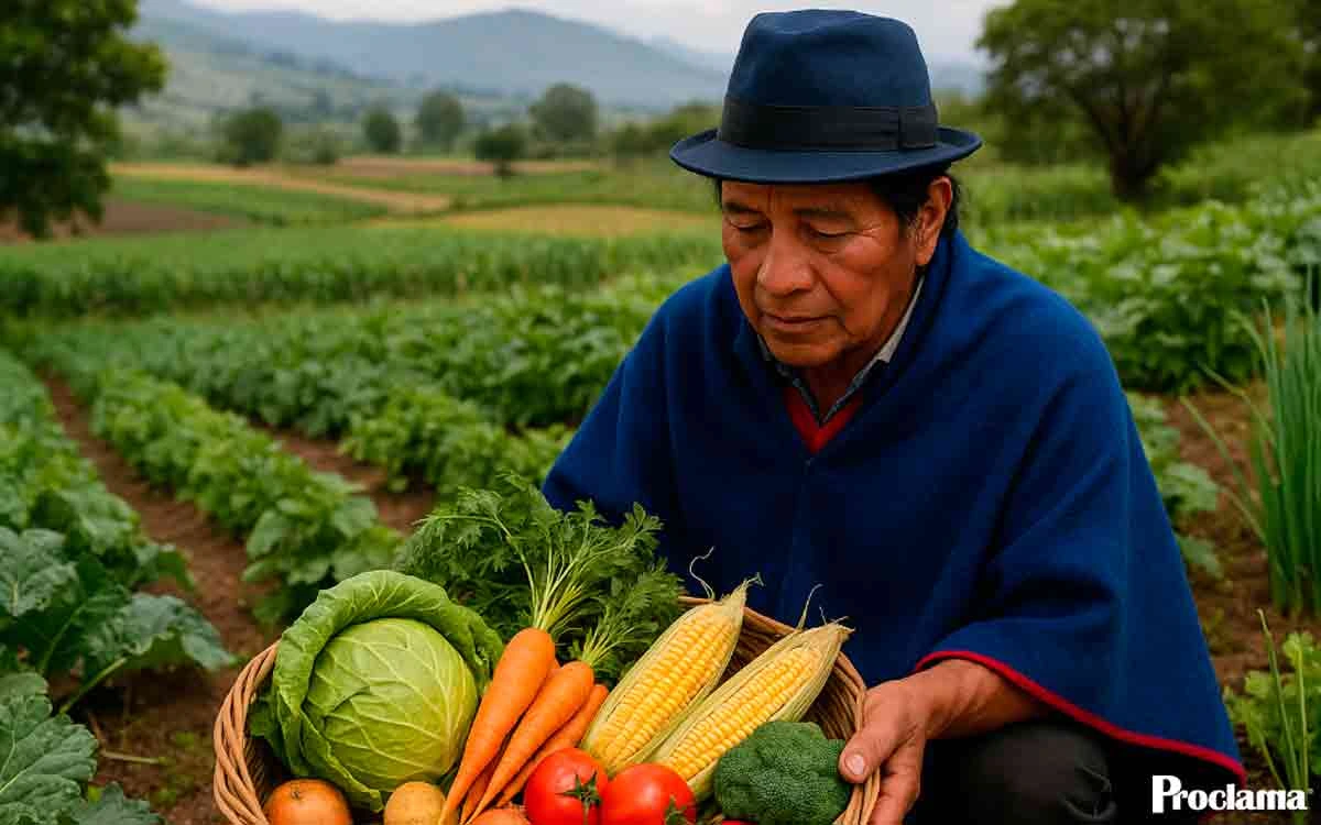 Territorio-comida-y-vida Territorio-comida-y-vida