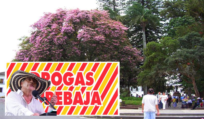 Drogas-La-Rebaja-pasa-de-narcos-al-Gobierno-III.jpg
