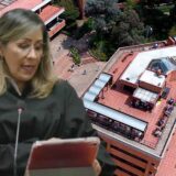 FRANCOTIRADORES