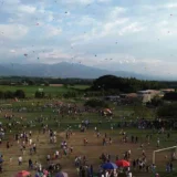 Miranda llenó su cielo de cometas