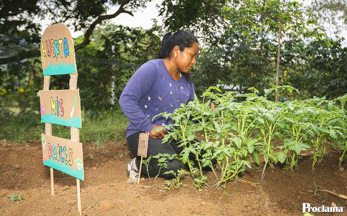 Huertas-interculturales-en-Caloto-siembran-soberanía-alimentaria Huertas-interculturales-en-Caloto-siembran-soberanía-alimentaria