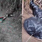 Preocupación en el norte del Cauca por cuerpos hallados en cañaduzales